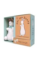 Pat the Bunny Book & Plush (Pat the Bunny)