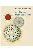 Art Forms from the Ocean