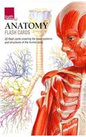 Anatomy Flash Cards