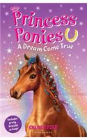 Princess Ponies 2: A Dream Come True