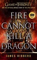 Fire Cannot Kill a Dragon