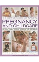 The Complete Book of Natural Pregnancy and Childcare