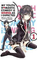 My Youth Romantic Comedy Is Wrong, as I Expected, Vol. 1 (Light Novel)