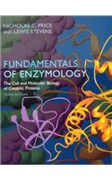 Fundamentals of Enzymology