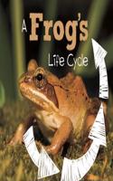 Frog's Life Cycle