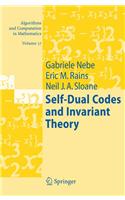 Self-Dual Codes and Invariant Theory