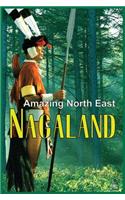 Amazing North East-Nagaland