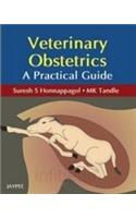 Veterinary Obstetrics A Practical Guide