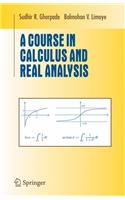 A Course in Calculus and Real Analysis