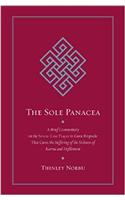 The Sole Panacea