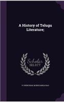 A History of Telugu Literature;