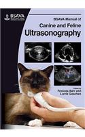 BSAVA Manual of Canine and Feline Ultrasonography