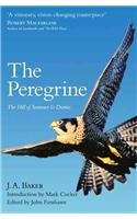 Peregrine