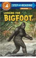 Looking for Bigfoot