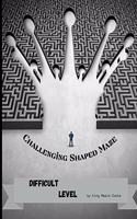 Challenging Shaped Maze Difficult Level