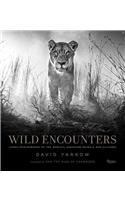 Wild Encounters