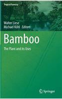 Bamboo