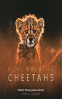 Remembering Cheetahs