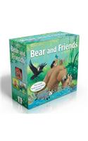 Bear and Friends