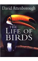 The Life of Birds