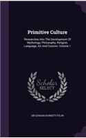 Primitive Culture