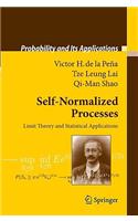 Self-Normalized Processes