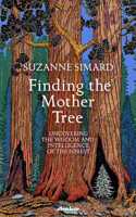 Finding the Mother Tree: Uncovering the Wisdom and Intelligence of the Forest