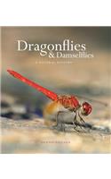 Dragonflies and Damselflies