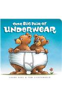 One Big Pair of Underwear