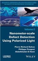 Nanometer-Scale Defect Detection Using Polarized Light