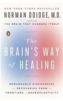 The Brain's Way of Healing