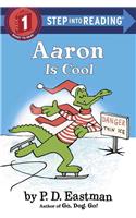 Aaron Is Cool