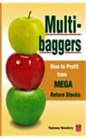 Multibaggers: How to Profit from MEGA Return Stocks