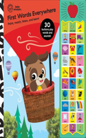 Baby Einstein: First Words Everywhere Sound Book