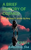 A Brief History of Cosmos