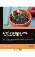 SAP Business ONE Implementation