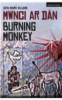 Burning Monkey