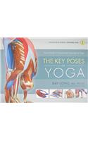 The Key Poses of Yoga