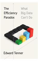 The Efficiency Paradox: What Big Data Can't Do