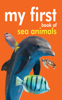 Board book: My First Book of Sea Animals