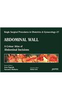 Single Surgical Procedures in Obstetrics and Gynaecology - Volume 27 - Abdominal Wall