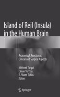 Island of Reil (Insula) in the Human Brain