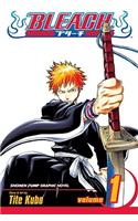 Bleach, Vol. 1, 1