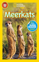 Meerkats