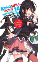 Konosuba: God's Blessing on This Wonderful World!, Vol. 14 (Light Novel)