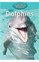 Dolphins