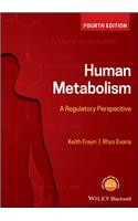 Human Metabolism