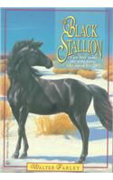 The Black Stallion