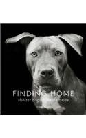 Finding Home: Shelter Dogs and Their Stories (a Photographic Tribute to Rescue Dogs)