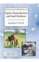 Equine Reproduction & Stud Medicine